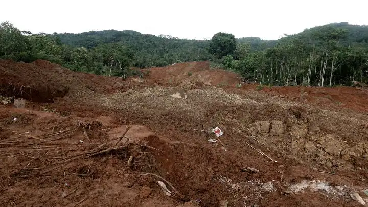 Area Longsor Cilacap Capai 6,5 Hektare, Pencarian Korban Terus Dilakukan