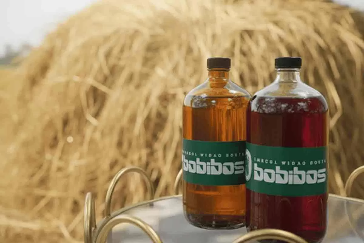 Bobibos, Inovasi Bahan Bakar Jerami yang Dikembangkan Anak Bangsa